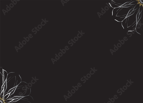Monochrome Abstract Flower Petals with Black Background