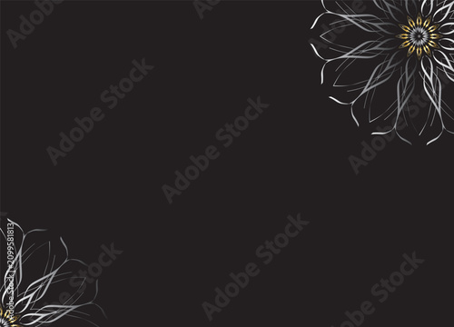 Monochrome Abstract Flower Petals with Black Background