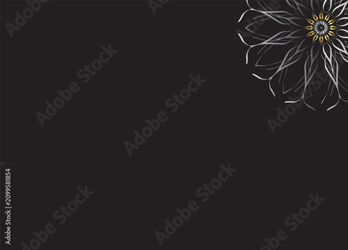 Monochrome Abstract Flower Petals with Black Background