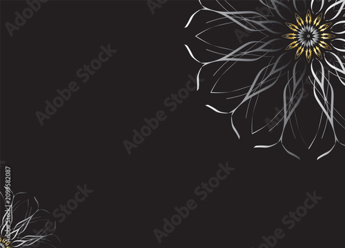 Monochrome Abstract Flower Petals with Black Background