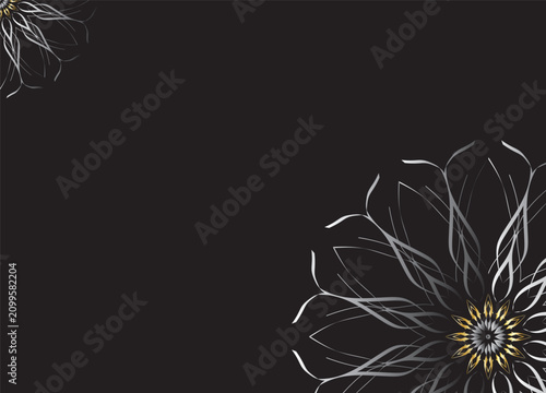 Monochrome Abstract Flower Petals with Black Background