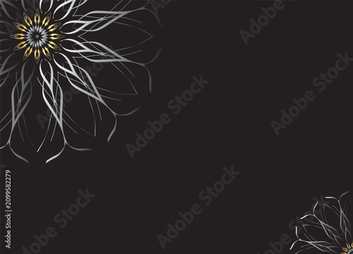 Monochrome Abstract Flower Petals with Black Background