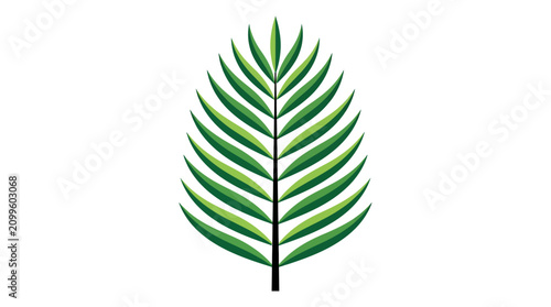 Foto Palm branch illustration presents a vibrant green botanical subject isolated for clean graphic integration