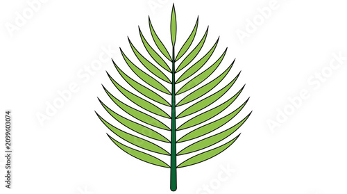 Tableau sur toile Palm frond illustration features detailed green leaflets radiating from a central stem in a stylized artistic format