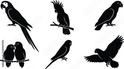 Canvas Print Tropical exotic parrots and jungle birds black silhouette icons set featuring ma