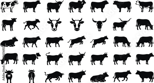 Obraz na płótnie Collection of numerous black cow and bull illustrations on white backdrop, vario