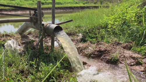 4K Irrigation pipe gushing water into green rice field on sunny day Thailand.