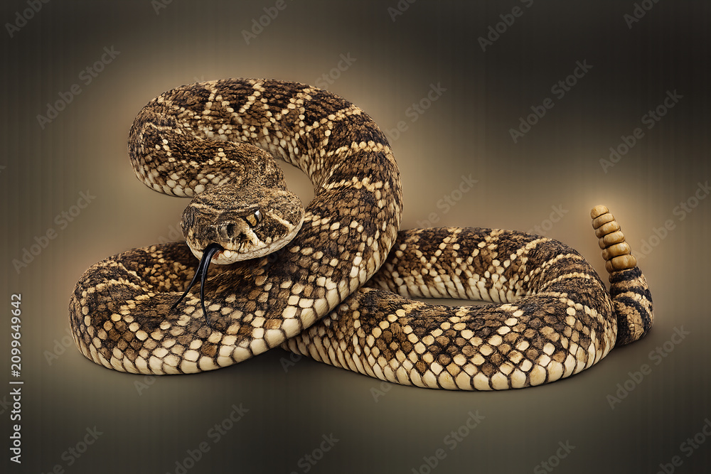 Obraz premium close up of a snake