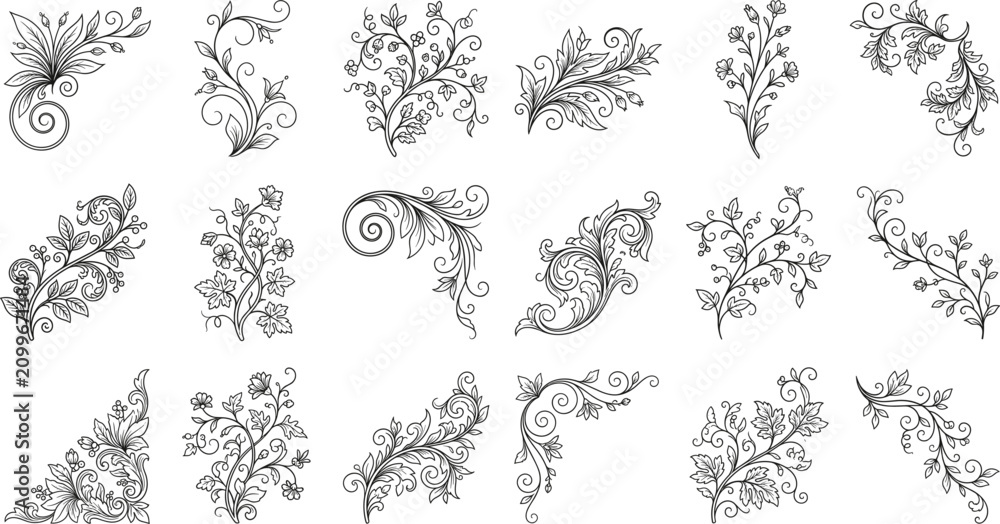 Fototapeta premium Elegant Botanical Flourish and Floral Ornament Vector Collection with Hand Drawn Decorative Elements