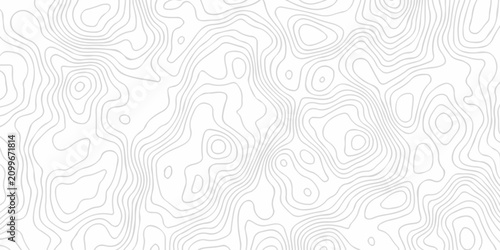 Geometric gray topography map contour line elegant elevation area paper design creating organic terrain spiral lines pattern.
