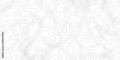 Geometric gray topography map contour line elegant elevation area paper design creating organic terrain spiral lines pattern.