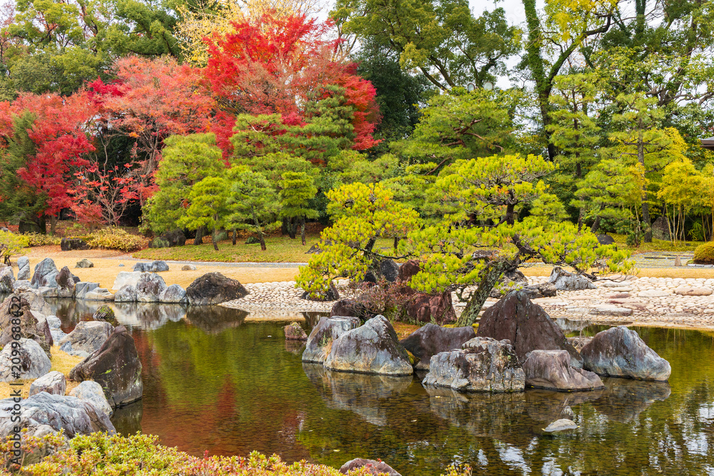 Fototapeta premium 日本の風景・秋 京都 世界遺産 紅葉の元離宮二条城 清流園