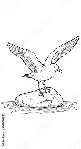 Seagull Bird Perched on Roc...
