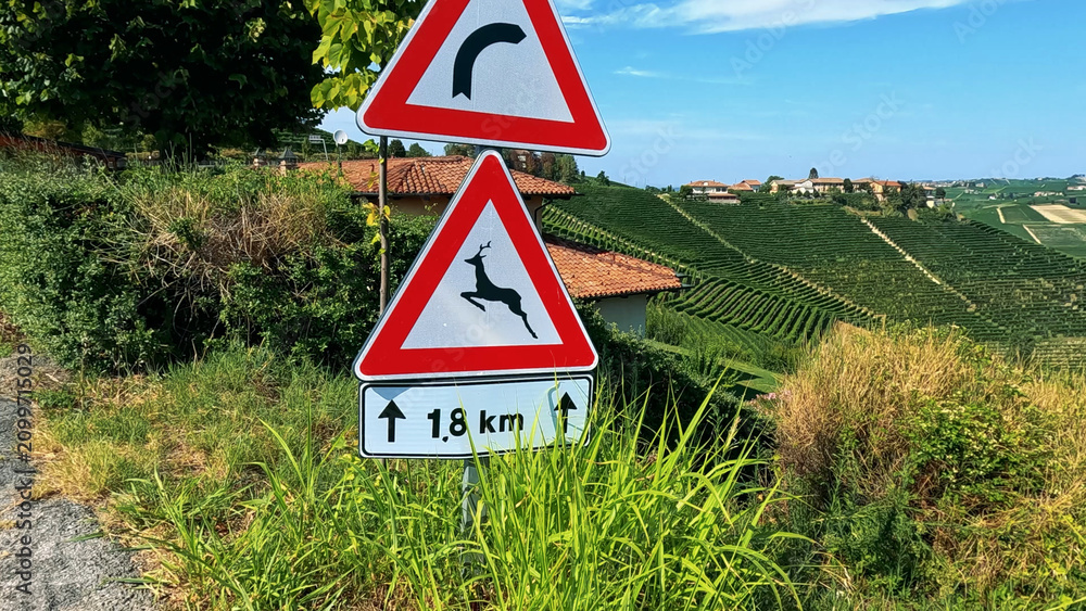 Obraz premium Deer Crossing and Winding Road Signs Overlooking Barbaresco Vineyards