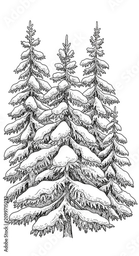 Snowy Pine Forest Illustrat...