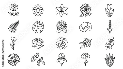 Bild auf Leinwand Elegant collection of diverse line art floral and botanical vector icons set