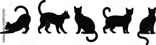 Konstfotografi Silhouettes of five domestic cats in various poses, including stretching, sitting, and standing