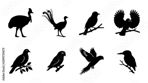 Foto 70 Diverse Bird Silhouettes Collection, Vector Graphics of Avian Wildlife, Feath