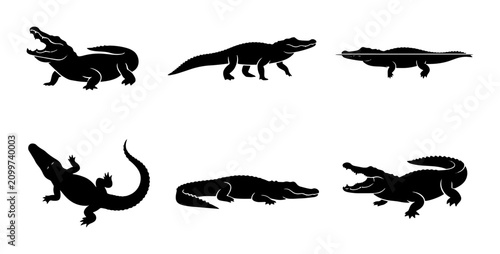 Konstfotografi 70 Set of Six Black Crocodile Silhouettes, Reptile Icons, Wildlife Vector Graphi