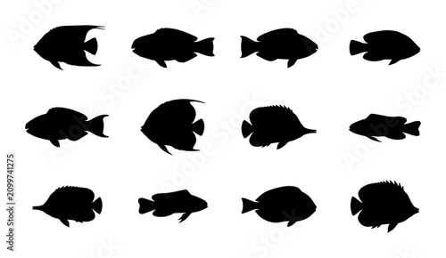 Fotografía 70 Collection of 12 Black Silhouette Fish Vector Icons, Marine Life Aquatic Anim