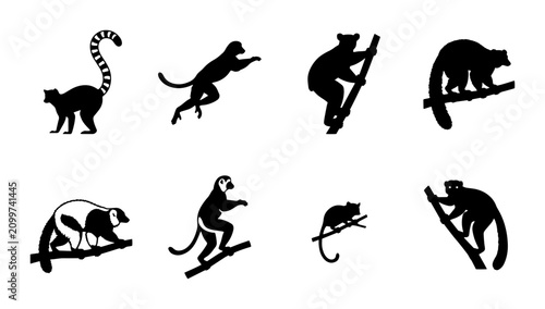 Photography 70 Diverse Primate Silhouettes Collection, Jungle Mammals Vector Icons, Wild Ani