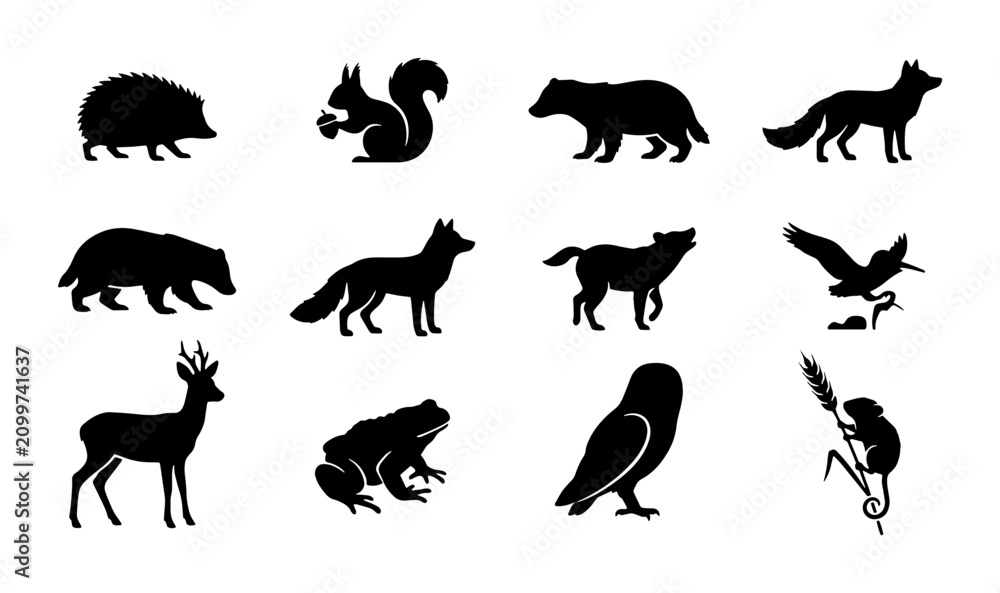 Fototapeta premium 70 Forest Wildlife Silhouette Collection: Hedgehog, Squirrel, Badger, Fox, Wolf, Deer, Frog, Owl, Eagle, Bear, Monkey Icons, Vector Graphics for Nature Design 100