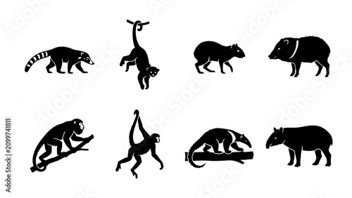 Photography 70 Set of 8 Silhouette Vector Icons: Diverse Jungle Animals, Wildlife Mammals, T