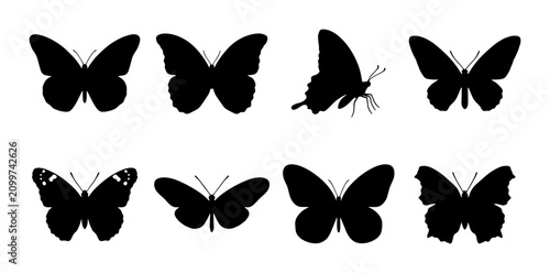 Fotografía 70 Black Butterfly Silhouettes Collection, Vector Graphics Set, Insect Winged Ic