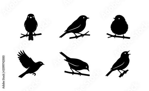 Bild auf Leinwand 70 Set of 6 Black Bird Silhouettes, Vector Icons: Perching, Flying, and Singing