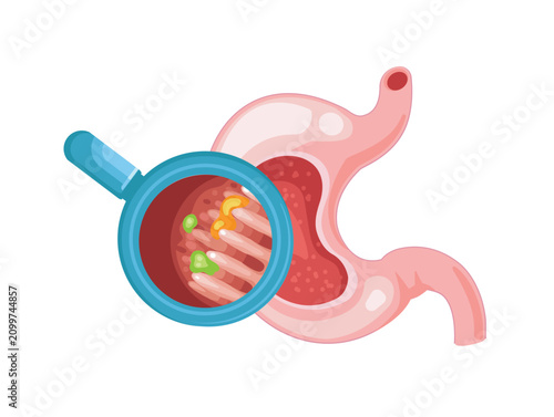 Stomach Digestion Cartoon Illustration