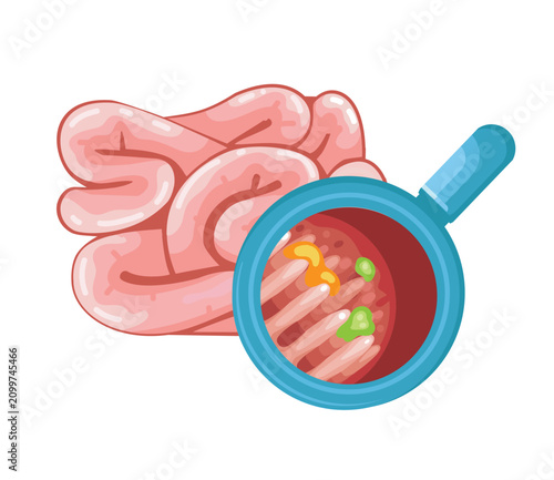 Intestinal Digestion Cartoon Illustration