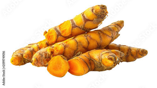 Fresh turmeric roots rhizome spice organic ingredient isolated on the transparent background