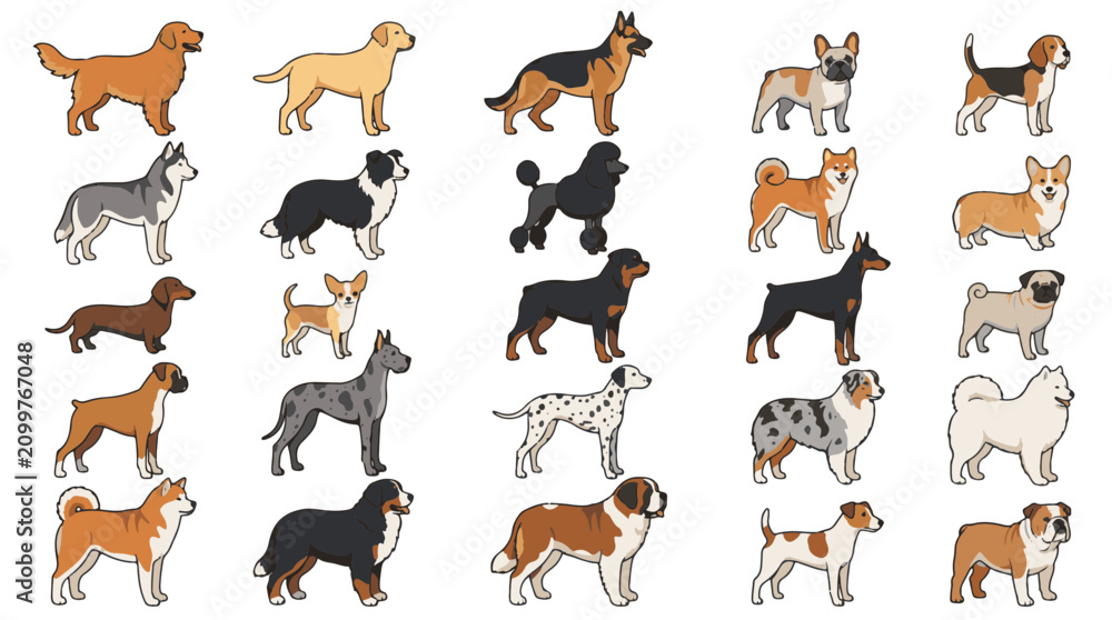Obraz premium A premium vector illustration set featuring a diverse collection of popular dog breeds from around the world