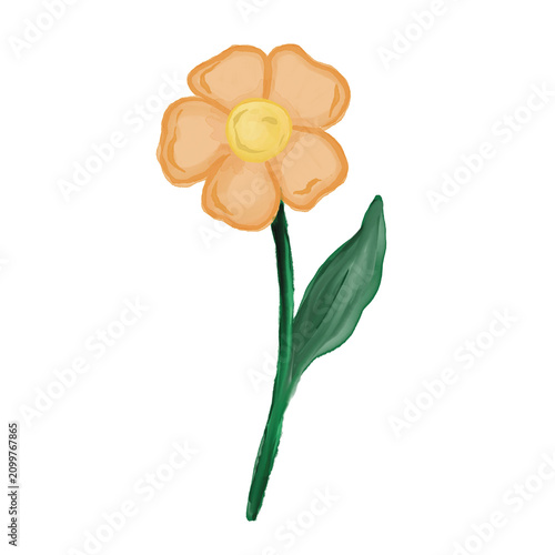 Watercolor peach colored flowers illustration 