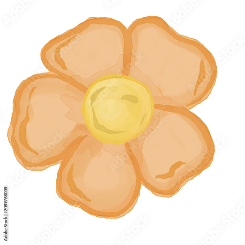Watercolor peach colored flowers illustration 