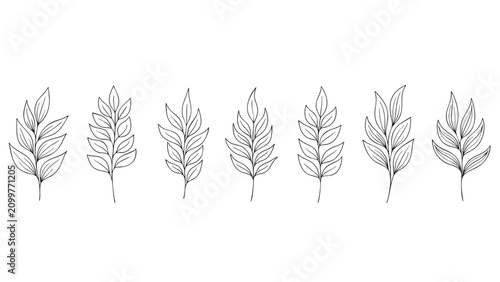 black vector icon of monoline floral bundle with delicate leaves