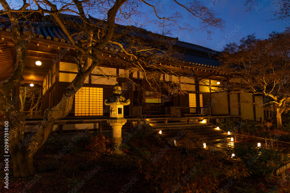 Fototapeta premium 日本の風景・冬 京都 嵐山花灯路 常寂光寺