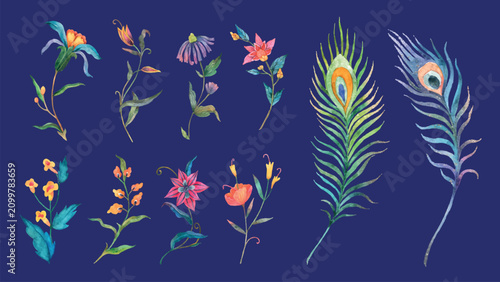 Colorful floral and peacock feather vector set on dark blue background