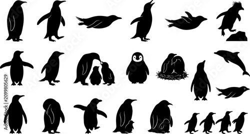 Photography Penguin silhouette icon set featuring emperor penguins, swimming birds, family n