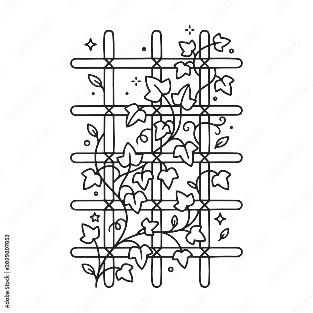 Obraz premium Black line drawing climbing plant vines.