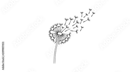 Foto Dandelion blowing in the wind, seeds flying off, simple line art, isolated on wh