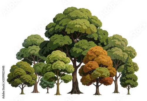 Autumn Trees Transparent Background