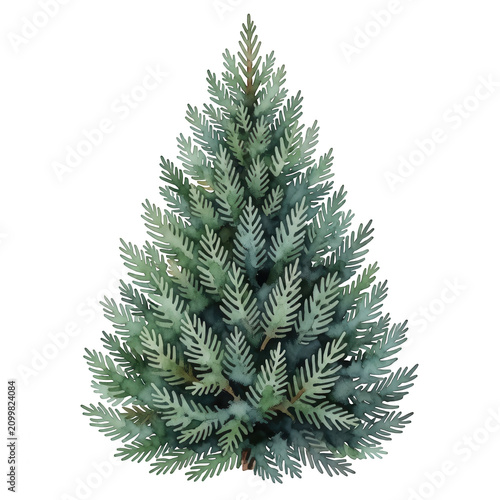 Christmas Tree Transparent Background