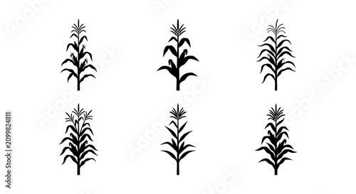 Quadro su tela Corn Stalk Icons, Maize Plant Silhouettes, Agricultural Crop Vector Graphics, Or