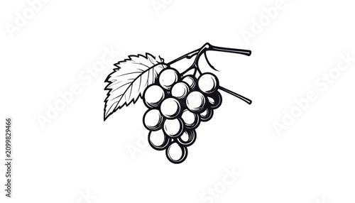 Canvastavla Bunch of grapes on vine branch.