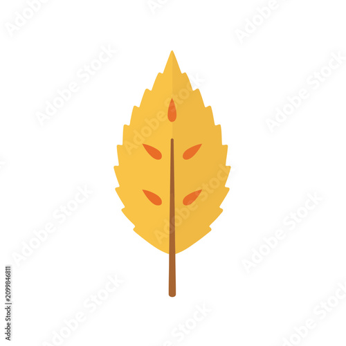Yellow autumn leaf with brown stem