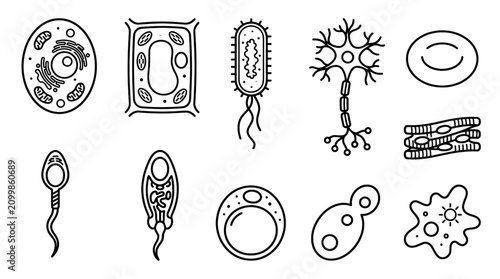 Foto Biological Cell Line Icons Set with Animal Plant Bacteria Yeast Neuron Red Blood