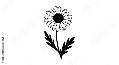 Daisy flower silhouette on a white background simple botanical line art