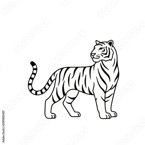 White Tiger Illustration