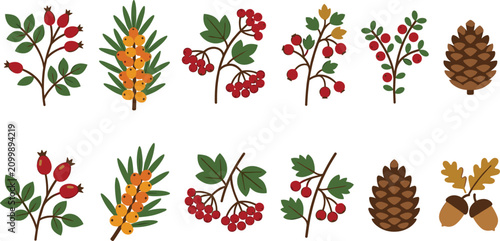 Photos Autumn Forest Berry and Botanical Element Vector Set with Rosehip Viburnum Sea B